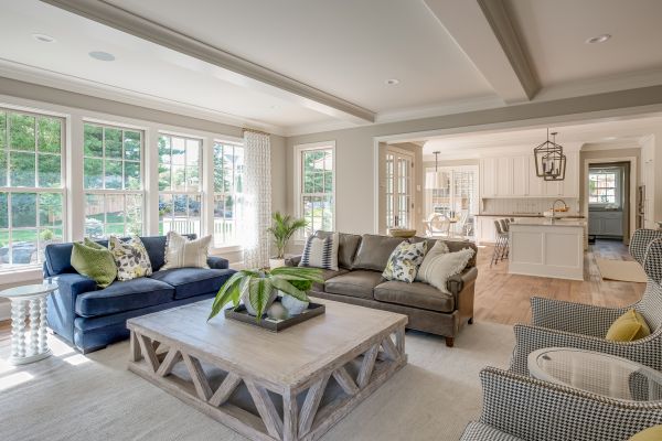 Professional Living Room Expansion